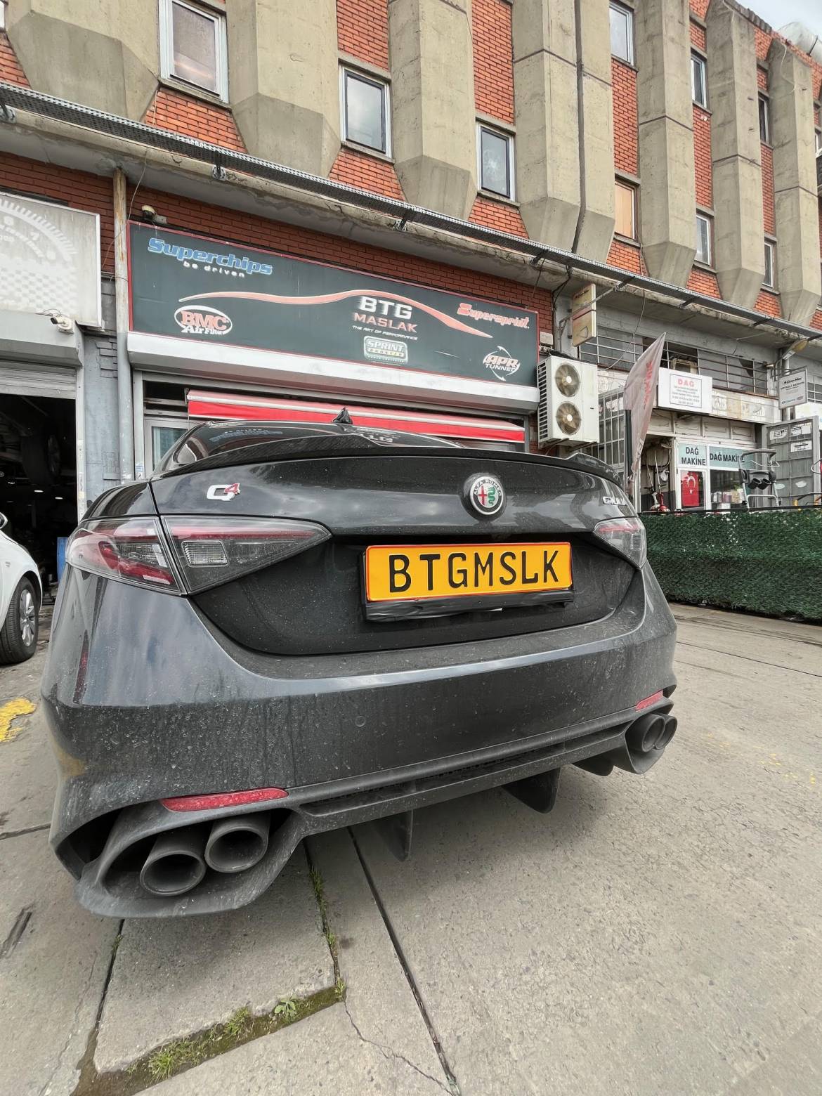 alfa.jpg